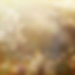 Lawn Mowing & Lawn Care