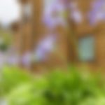 Lawn Mowing & Lawn Care